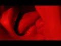 Alex Angel - Sex In Space ft. AHADOVA Alex Angel - Sex In Space ft. AHADOVA