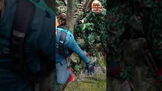 V&igrave; Sao Tour Sơn Đo&ograve;ng Lại C&oacute; Gi&aacute; L&ecirc;n Đến 3000$ 😲- TikTok Kiến Kh&ocirc;ng Ngủ #Shorts