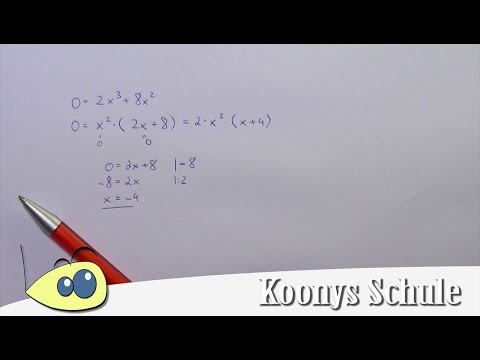Nullstellen von f(x) = 2x³ + 8x² bestimmen, x² ausklammern und umstellen