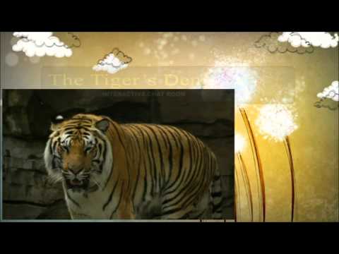 January 22nd Trade What You See with Larry Pesavento on TFNN - 2016