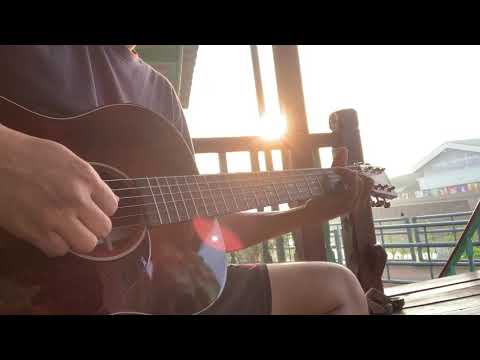 martin 00db jeff tweedy review