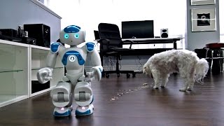 Robot + Dog + Pop-Tart = ?