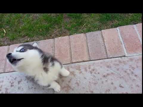 Kkkkkkkkkkkkkkk sorriso