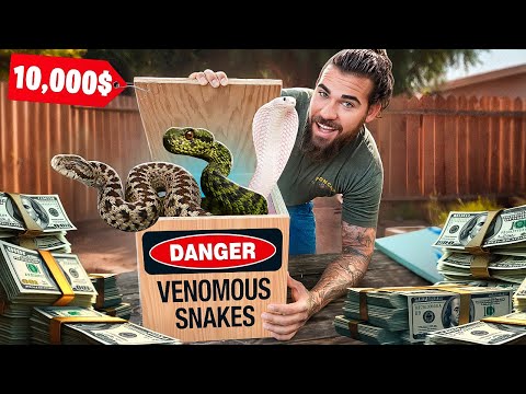 $10,000 Venomous Snake Unboxing!