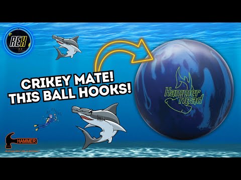 Hammer Hammerhead: A Must-Have or Just Hype?