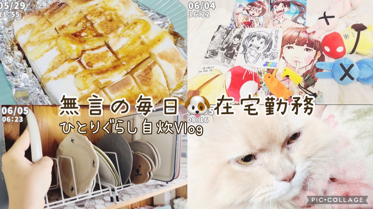 【自炊ルーティン】自分という存在を認識する違和感：在宅勤務：結婚願望なし：30代ひとり暮らしのVlog