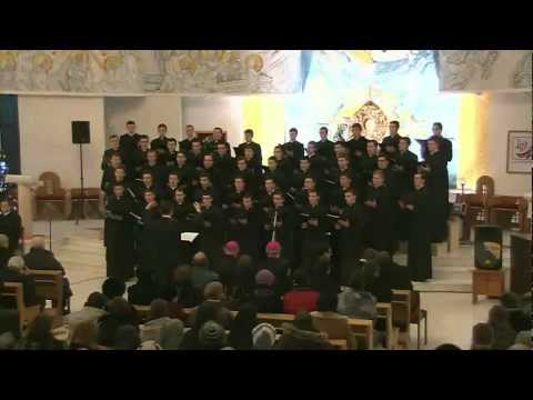 Concertul corului seminaristilor (16 decembrie 2012)