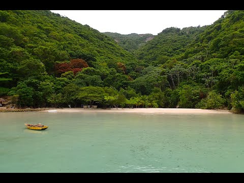 7. Disaster Response Robotics