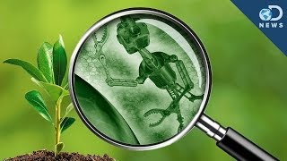 How Bionic Plants Will Change Everything!