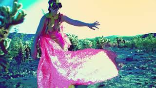 Guerilla Toss - Dose Rate (Official Music Video)