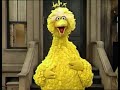 Classic Sesame Street Big Bird S Four Parade 1983
