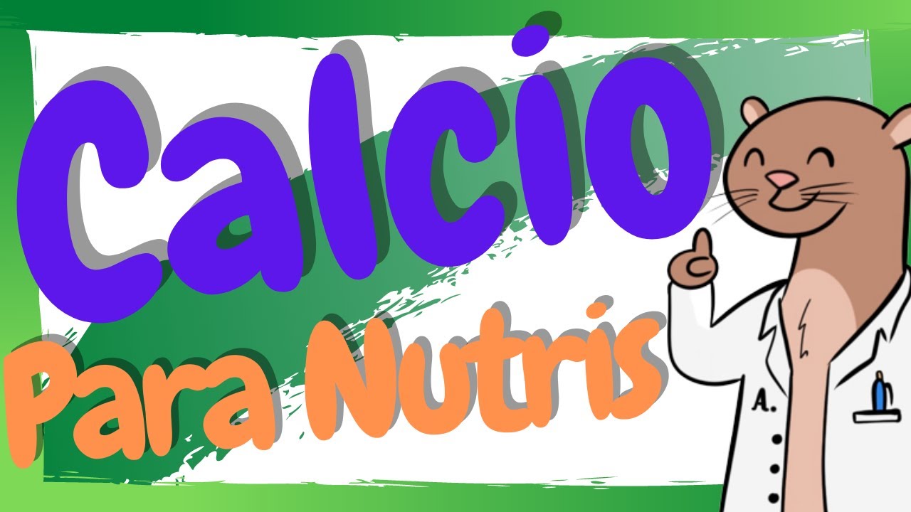 ¿Qué es y para qué sirve el Calcio? / Calcio en Nutrición