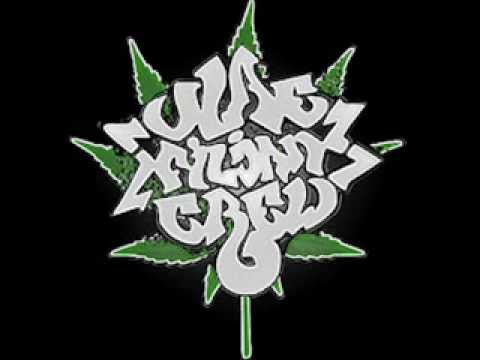 Ajs & Gajka - Vlae i Gjorche se vo kukjata