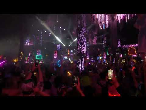 SUB FOCUS @ Shambhala 2023 Village