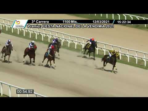 210312 c03 - ZI CARMELEANO - HIPODROMO LAS PIEDRAS
