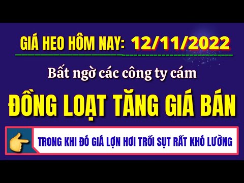 , title : 'Giá heo hơi ngày hôm nay 12/11/2022 || Giá lợn 2 miền Trung Nam tiếp đà tăng, miền Bắc quay đầu giảm'