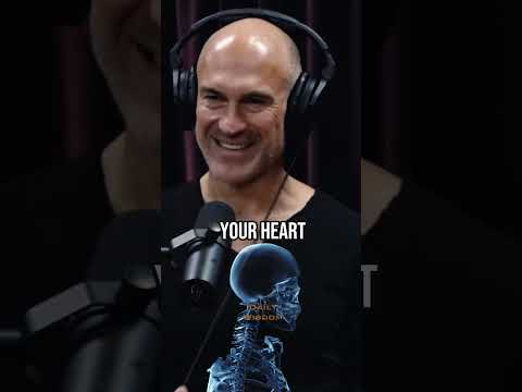 How to build Endurance and Cardio the right way when running - Pavel Tsatsouline & Joe Rogan Podcast