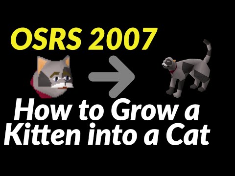 How to Grow a Kitten into a Cat - OSRS 2007