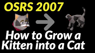 How to Grow a Kitten into a Cat - OSRS 2007