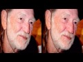 Willie Nelson - Family Bible 