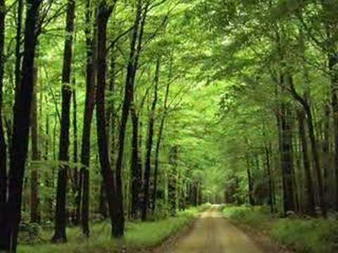 Thumbnail for Clive Gregson & Christine Collister - I Will Be There by Clive Gregson