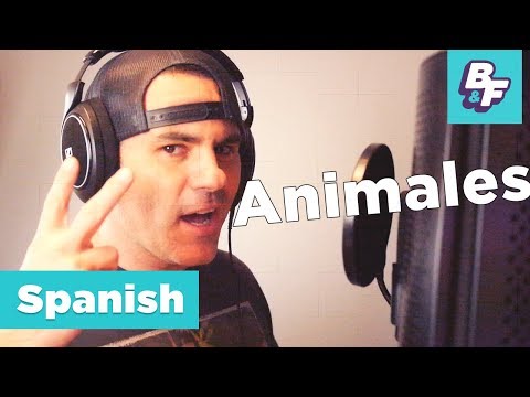 Spanish Animal Names Rap | BASHO & FRIENDS Learning Songs REMIX | Aprender animales