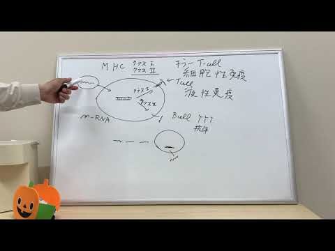 メッセンジャーリボ核酸について詳しく解説