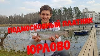 Вся платная рыбалка без нормы вылова москвы и области