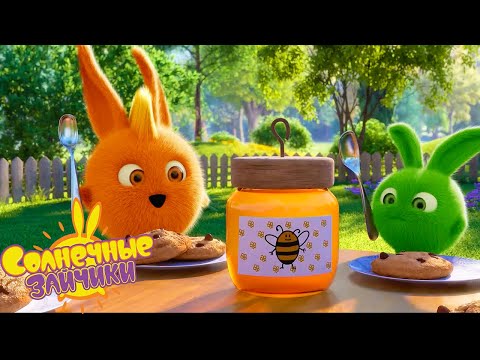 Мед и печенье - Солнечные зайчики | Сборник мультфильмов для детей