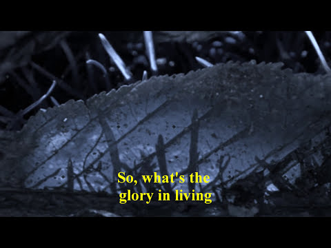 England Dan & John F. Coley - What's Forever For (w/lyrics)