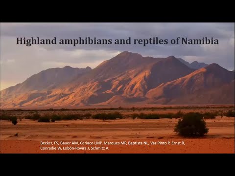 GMBA Spotlight webinar: Highland amphibians and reptiles of Namibia (Francois Becker, 15 May 2024)