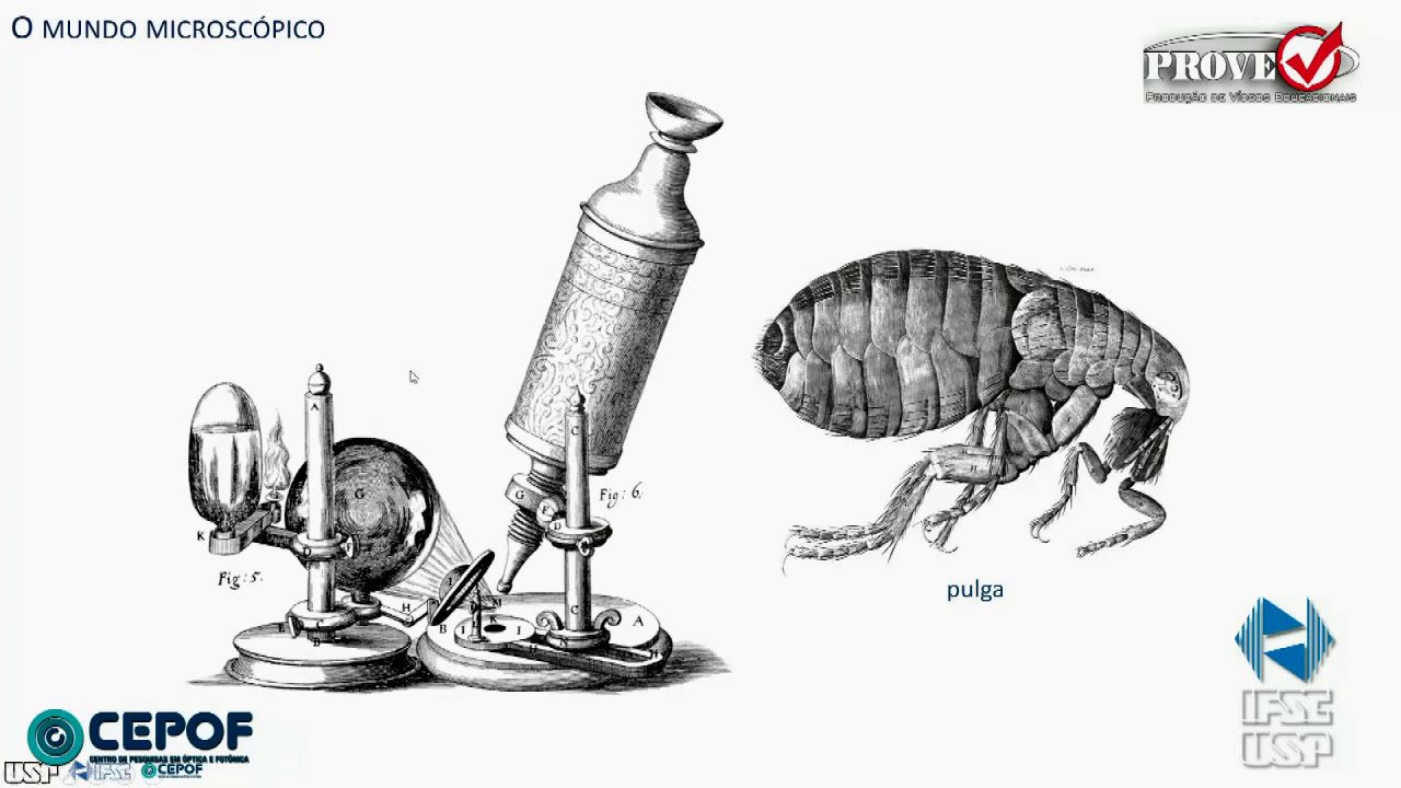 Microscopia Óptica - História da Microscopia Óptica