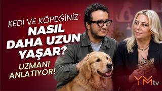 Kediler ve Köpeklerde Uzun Yaşamın Sırrı Ne? Köpeğinizi Yanlış Besliyo