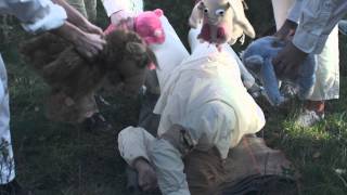 Casiokids - Det Haster!