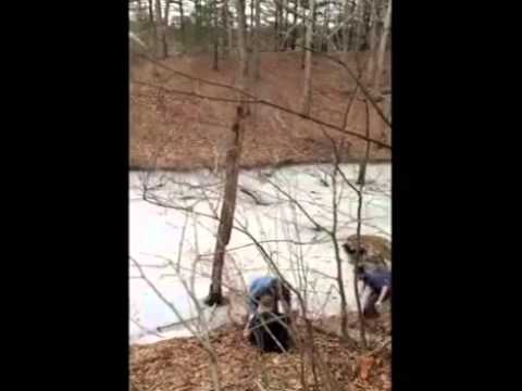 Idiot Kid Loses Fight With A Tree