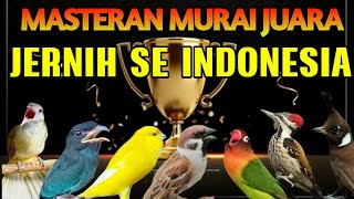 Download lagu MASTERAN MURAI BATU FULL ISIAN TEMBAKAN JUARA MURAI BAHAN CEPAT BONGKAR MATERI mp3