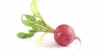 The Ruminating Radish