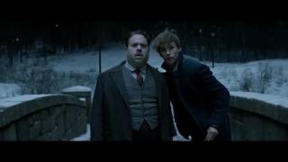 Fantastic Beasts and Where to Find Them (2016) Video