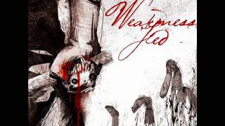 CrowneVict-Weakness Fed