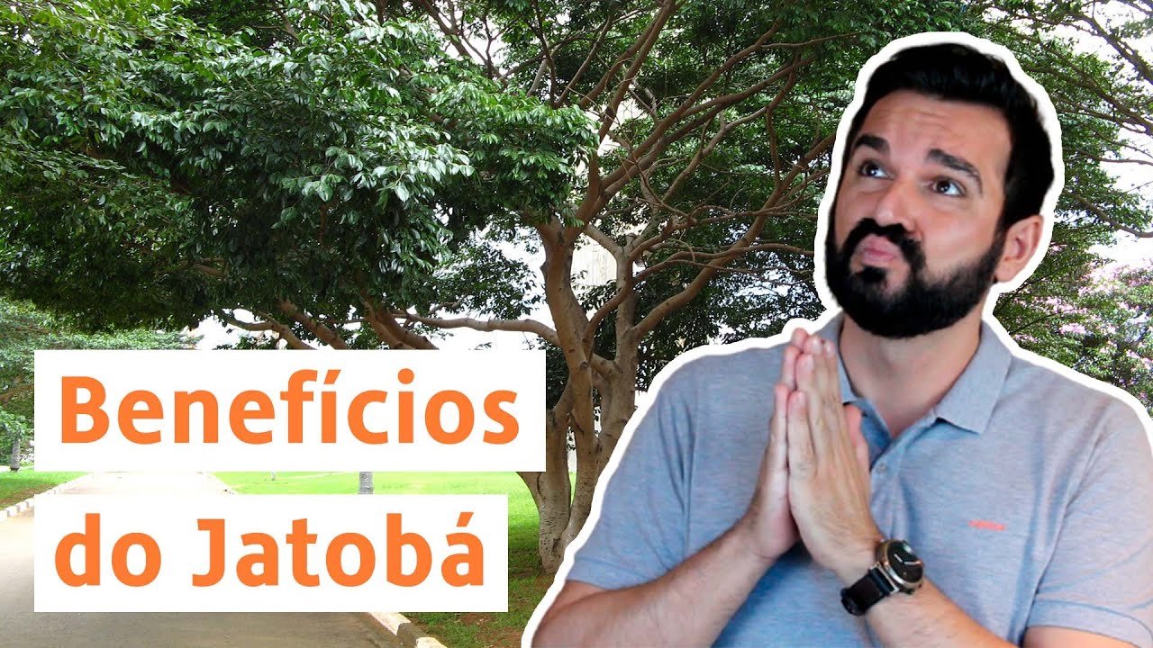 Jatobá: Descubra Para Que serve E Como Usar | Dr. Rafael Freitas