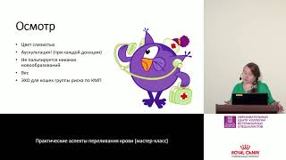 Правила хранения донорской крови и ее компонентов