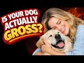 Your Annoying Dog Stinks Prove Me Wrong