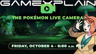 A 24-Hour Pokémon Sword & Shield Livestream?? What is Being Revealed on October 4th?