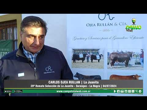 Entrevista a Carlos Ojea Rullán