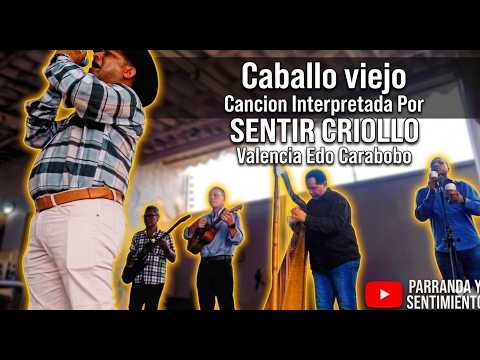 Música llanera en vivo - Caballo viejo. San diego, Valencia-Carabobo