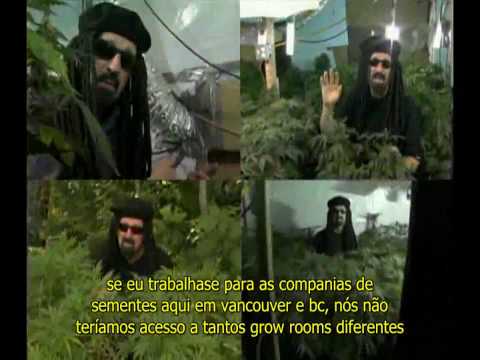 Ultimate Grow DVD Legendado - Part7 SEEDS