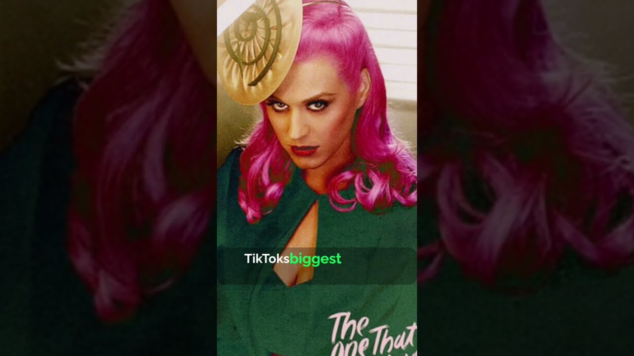 The one that got away Backstory EXPLAINED #music #trend #explained