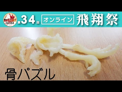 骨パズル