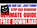 Best Tom And Jerry Series 928 Tom And Jerry Painful Compilation