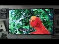 Sesame Street Season 42 Letter Of The Day Clues U